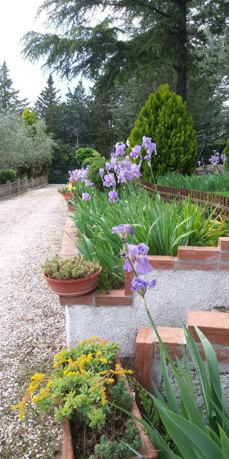 I Pini House Holiday home